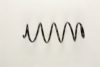 FIAT 50700520 Coil Spring